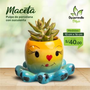 maceta-de-pulpo-con-suculenta